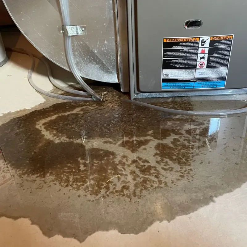 Pipe Burst and Leak Restoration in Carmel-by-the-Sea, CA